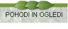 POHODI IN OGLEDI