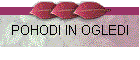 POHODI IN OGLEDI